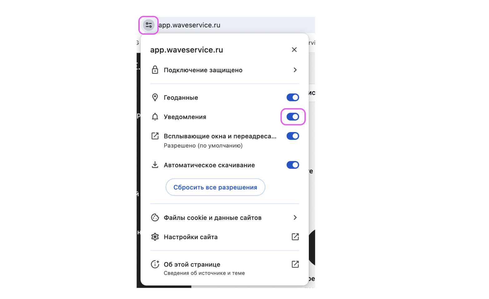 push-uvedomleniya-ot-wave-service-v-brau 13