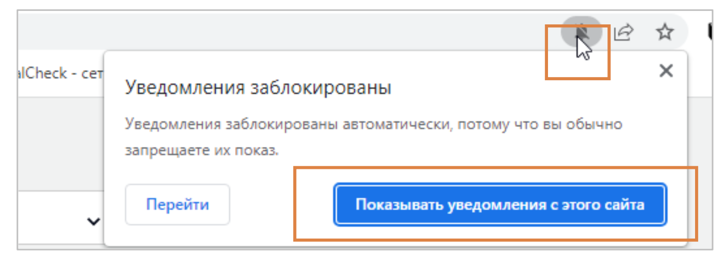 push-uvedomleniya-ot-wave-service-v-brau 2