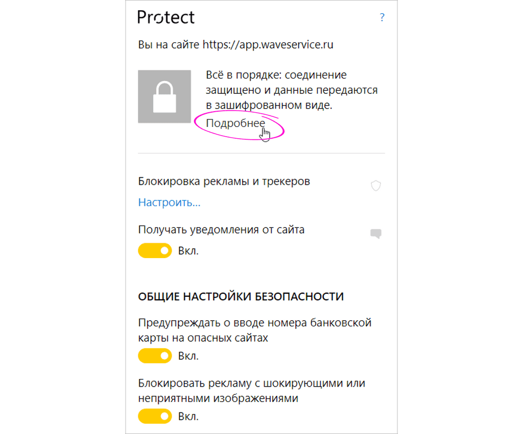 Подробные настройки в Яндекс Браузере